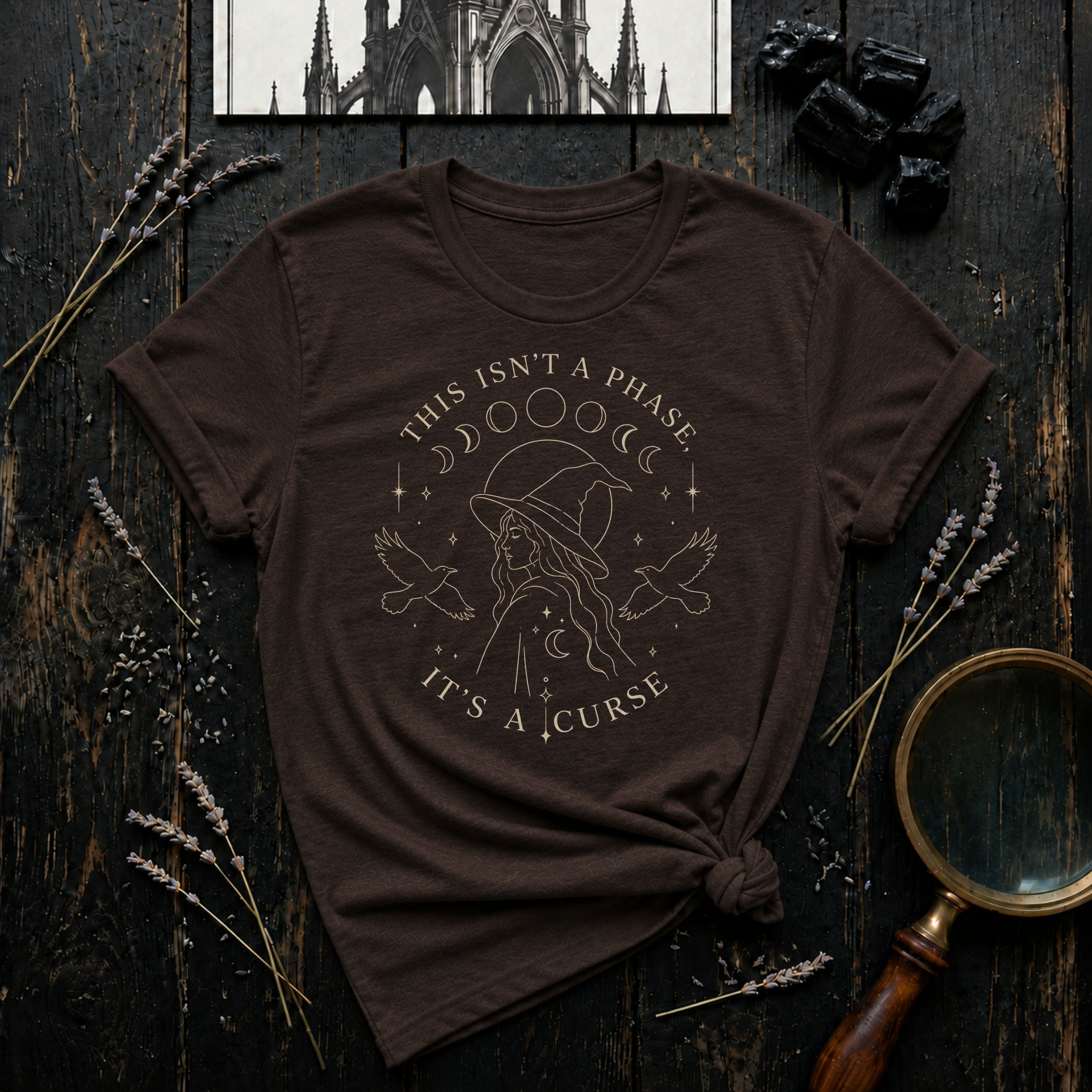 This Isn't a Phase T-Shirt