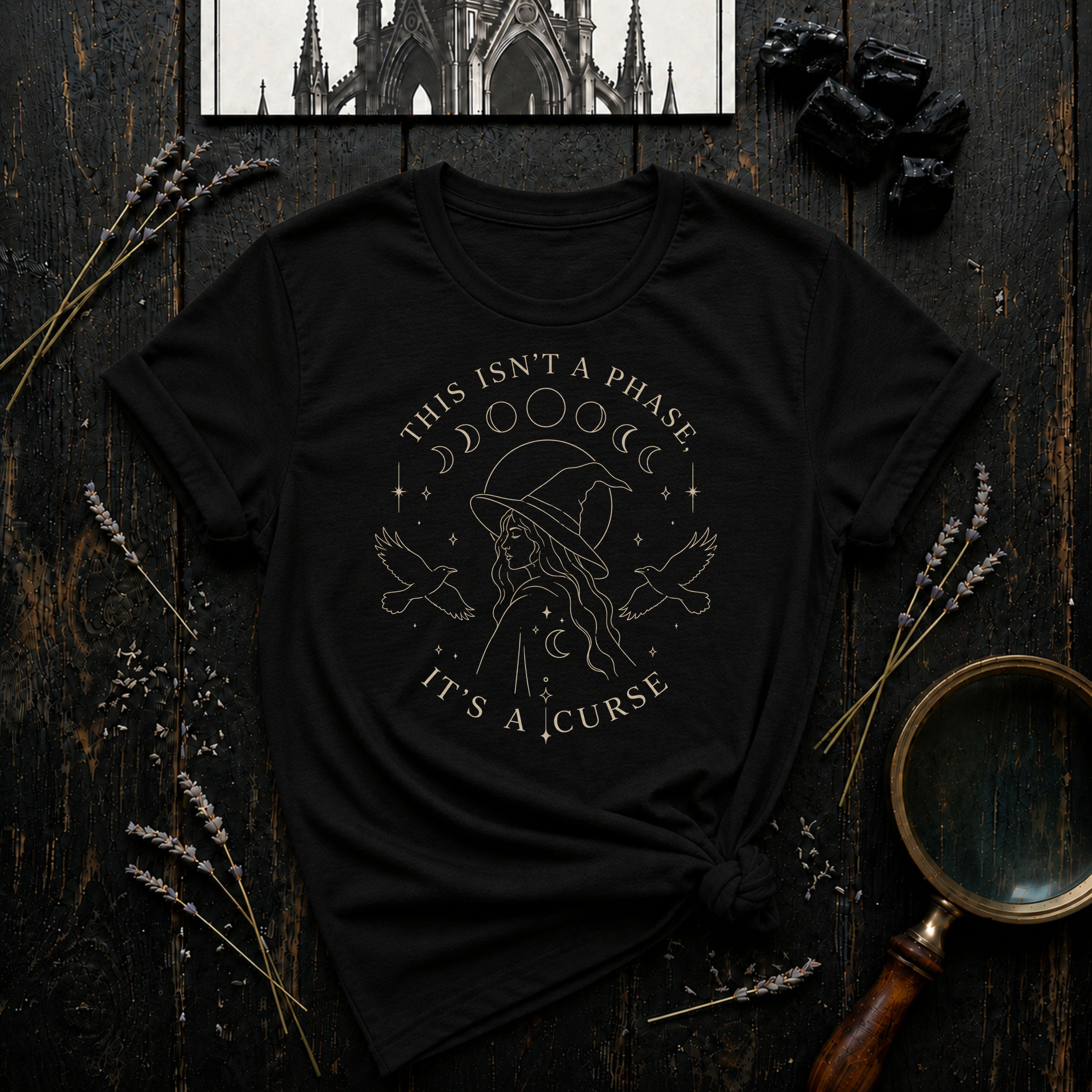 This Isn't a Phase T-Shirt
