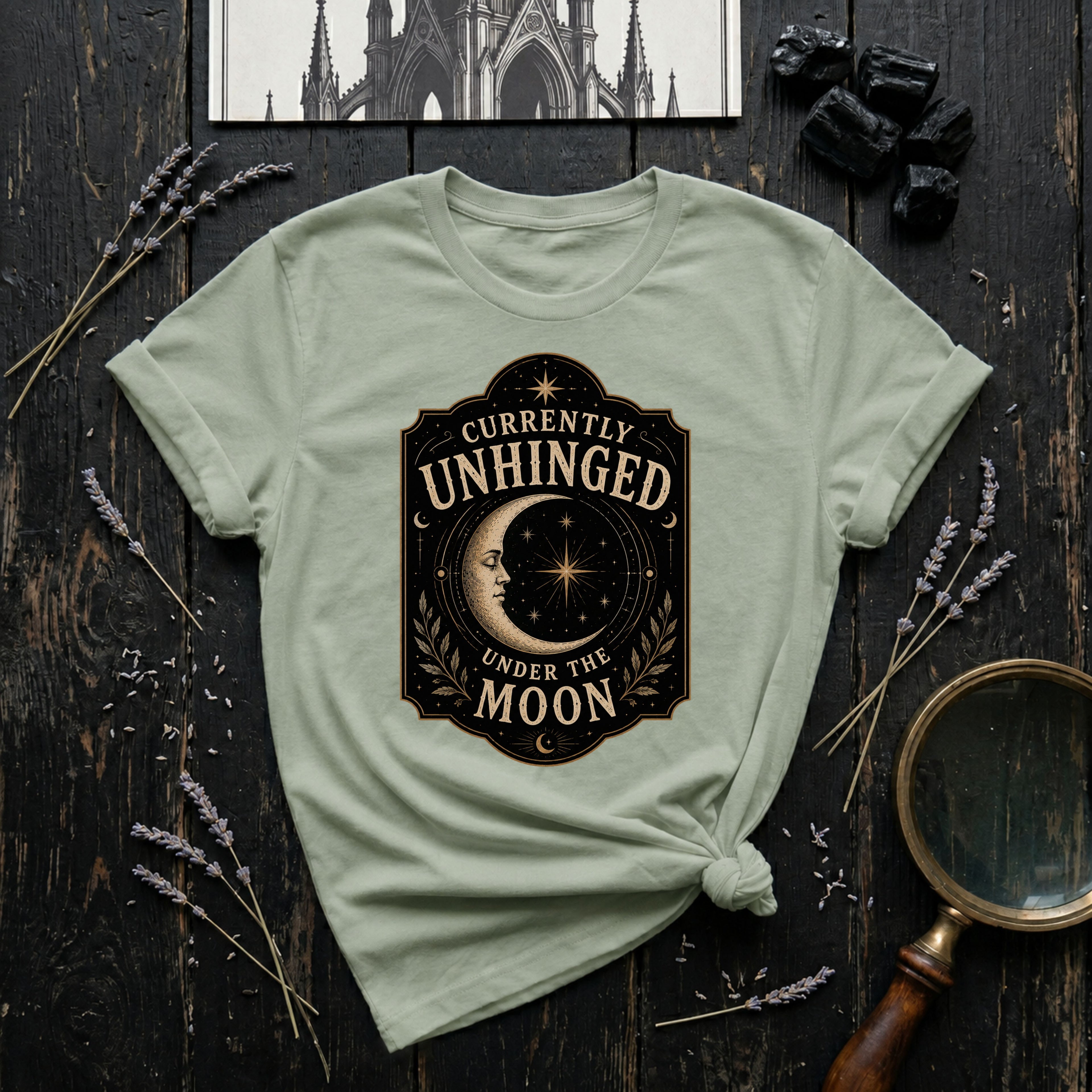 Currently Unhinged Moon T-Shirt