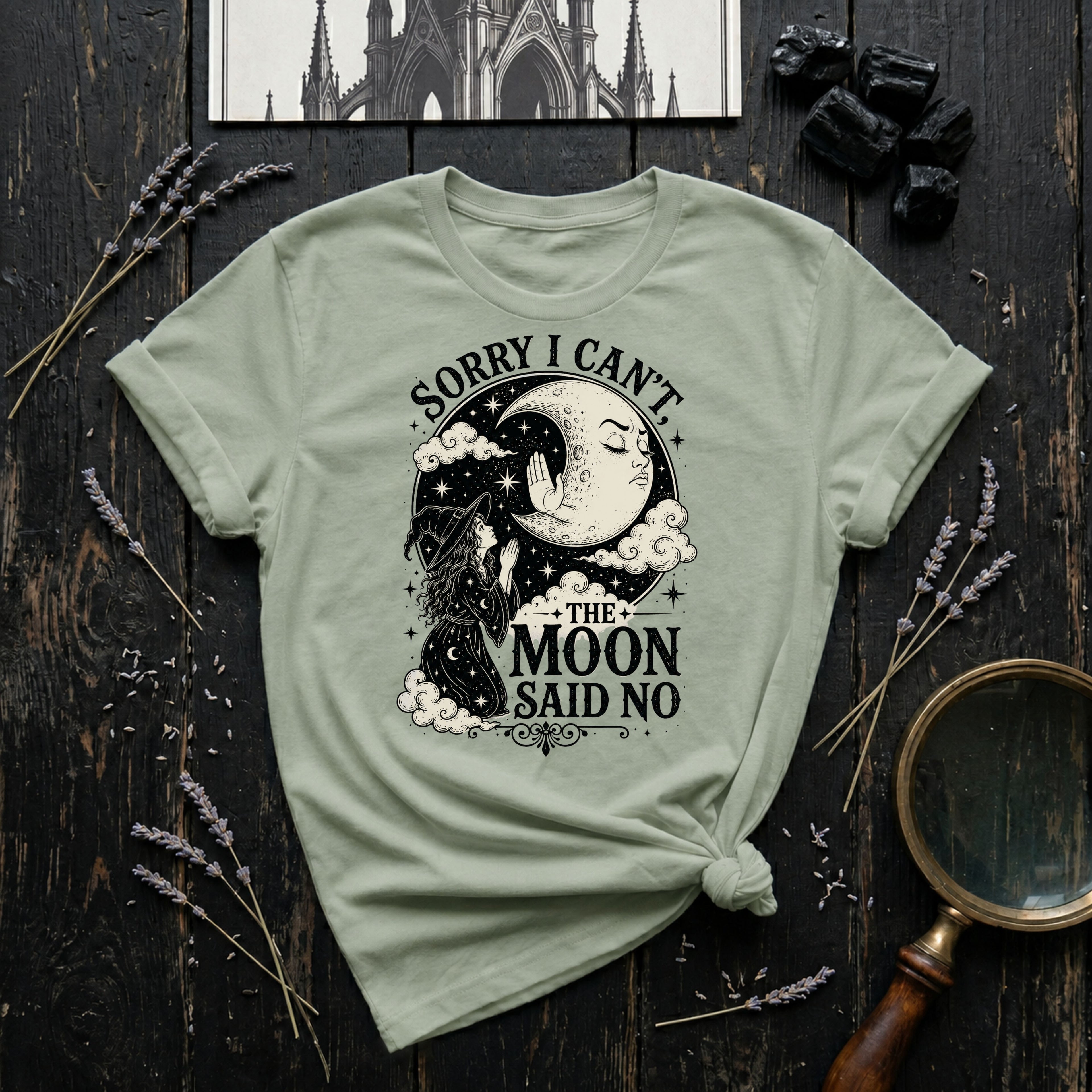 Sorry I Can't, The Moon Said No T-Shirt