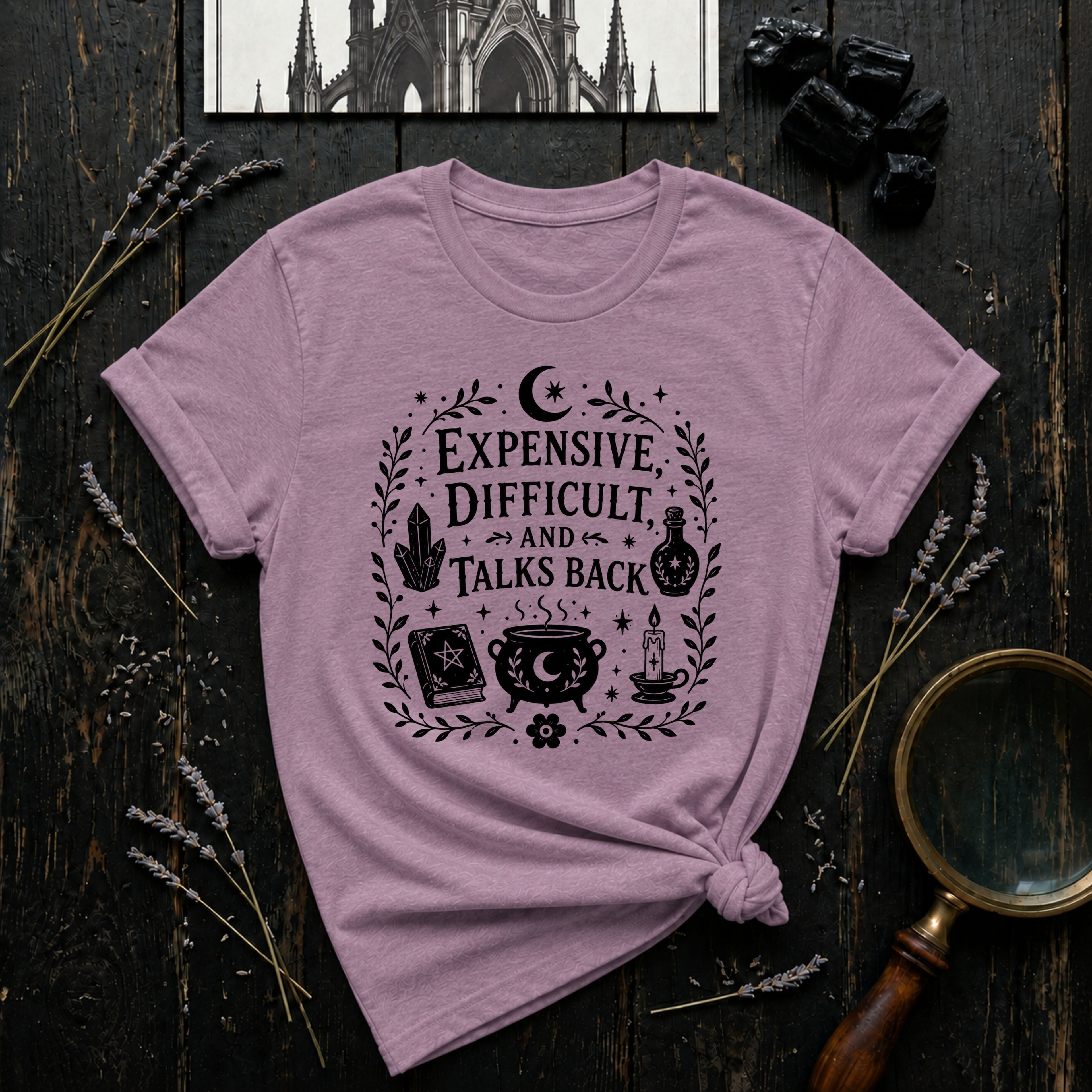 "Expensive, Difficult, and Talks Back" T-Shirt