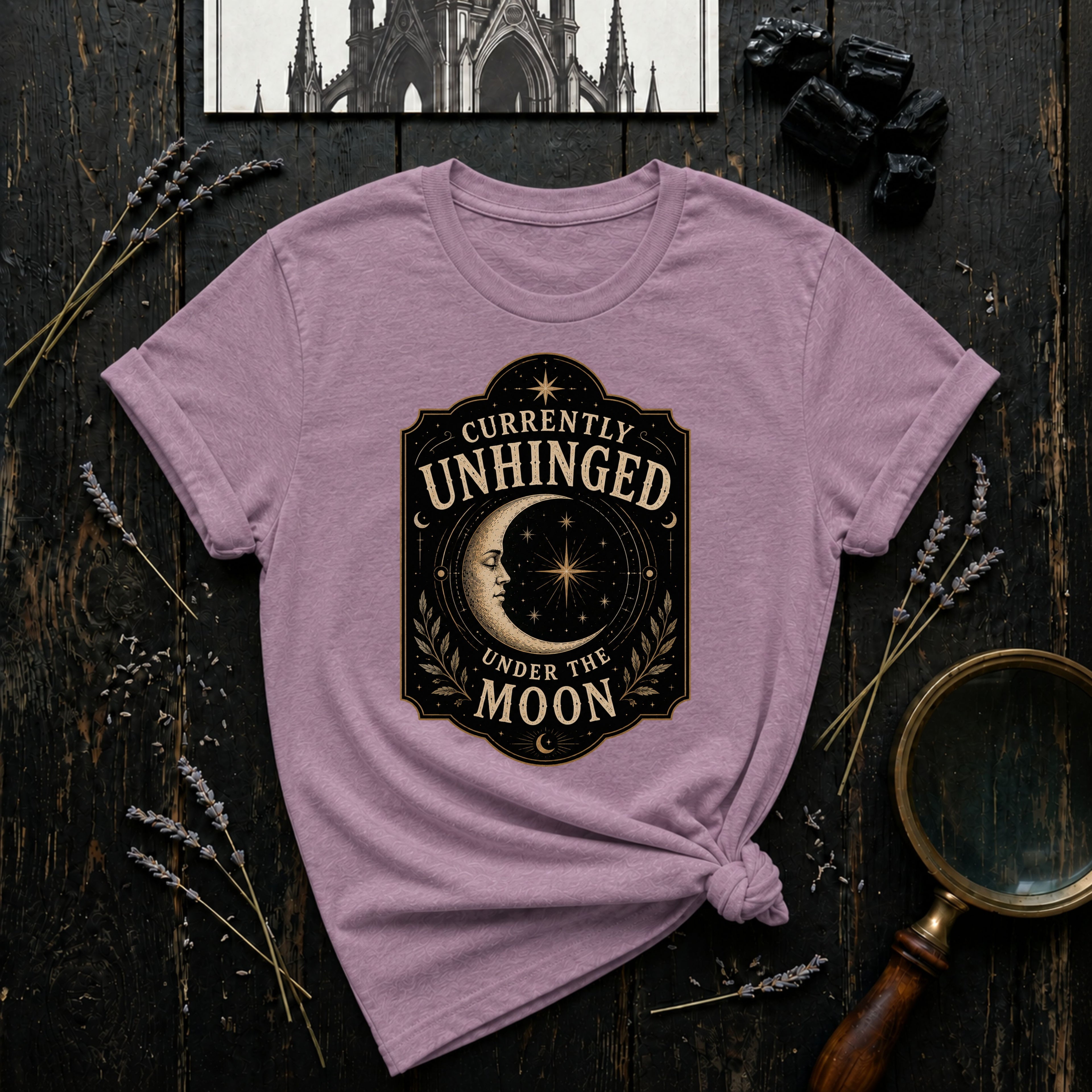 Currently Unhinged Moon T-Shirt