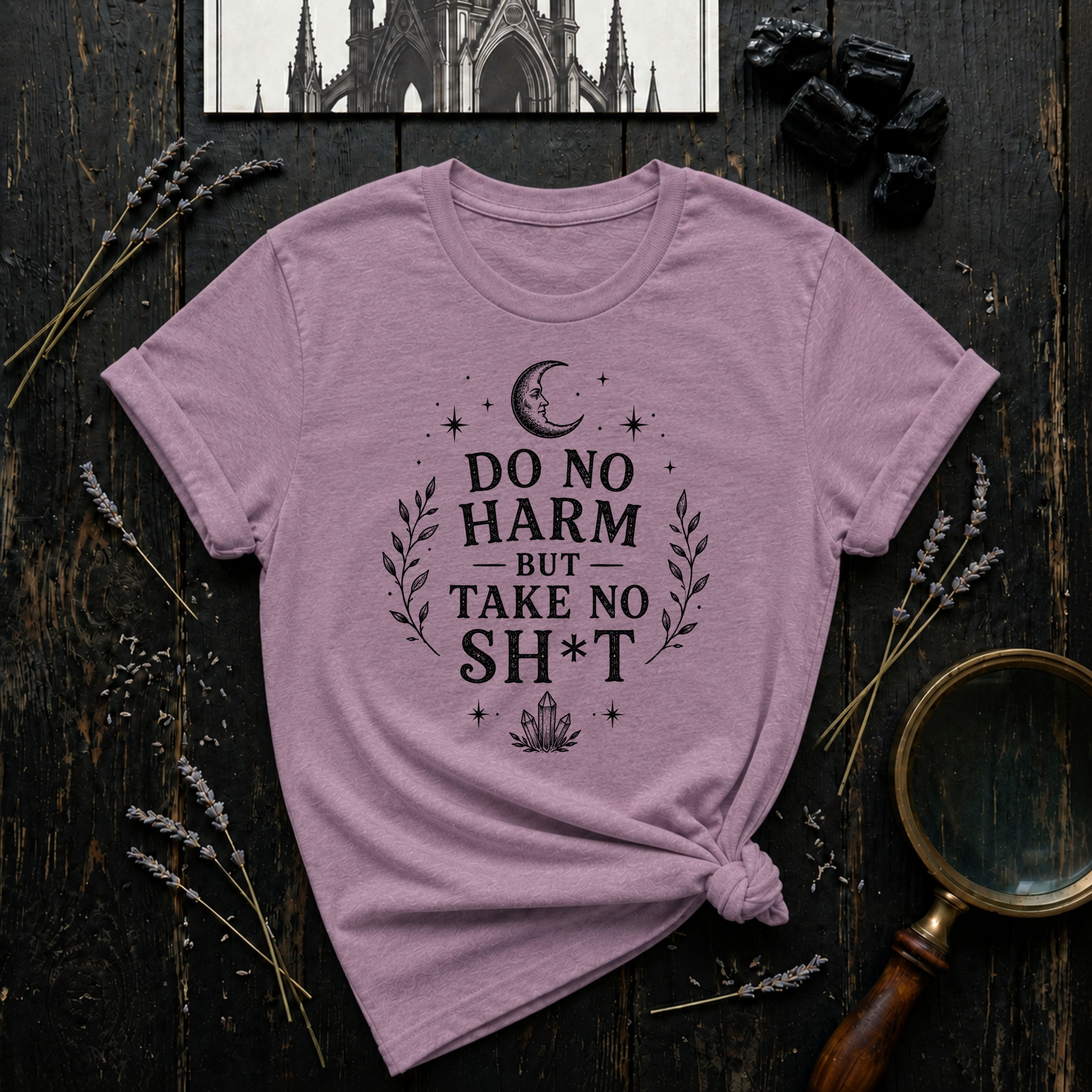 Do No Harm but Take No Sh*t T-Shirt