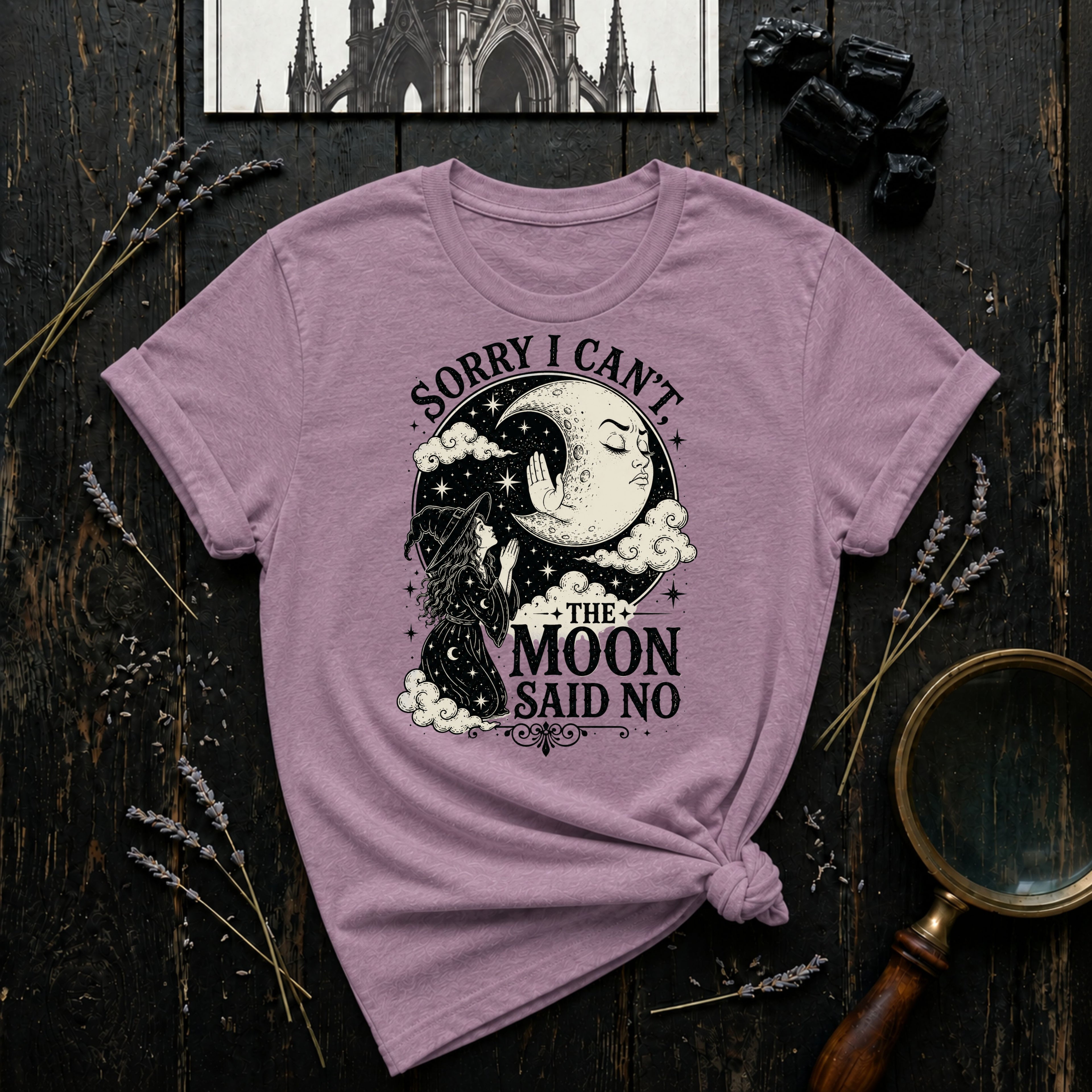 Sorry I Can't, The Moon Said No T-Shirt