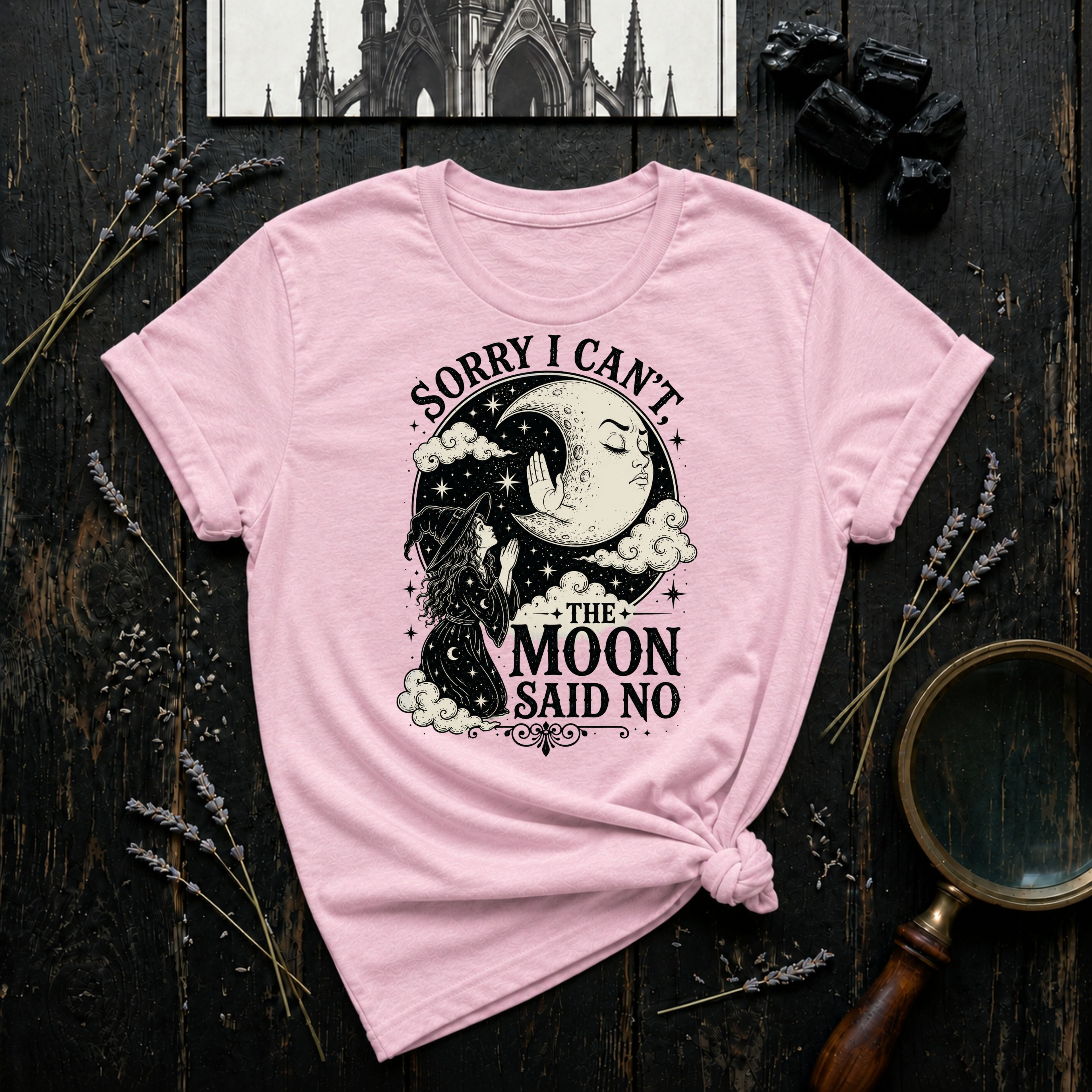 Sorry I Can't, The Moon Said No T-Shirt