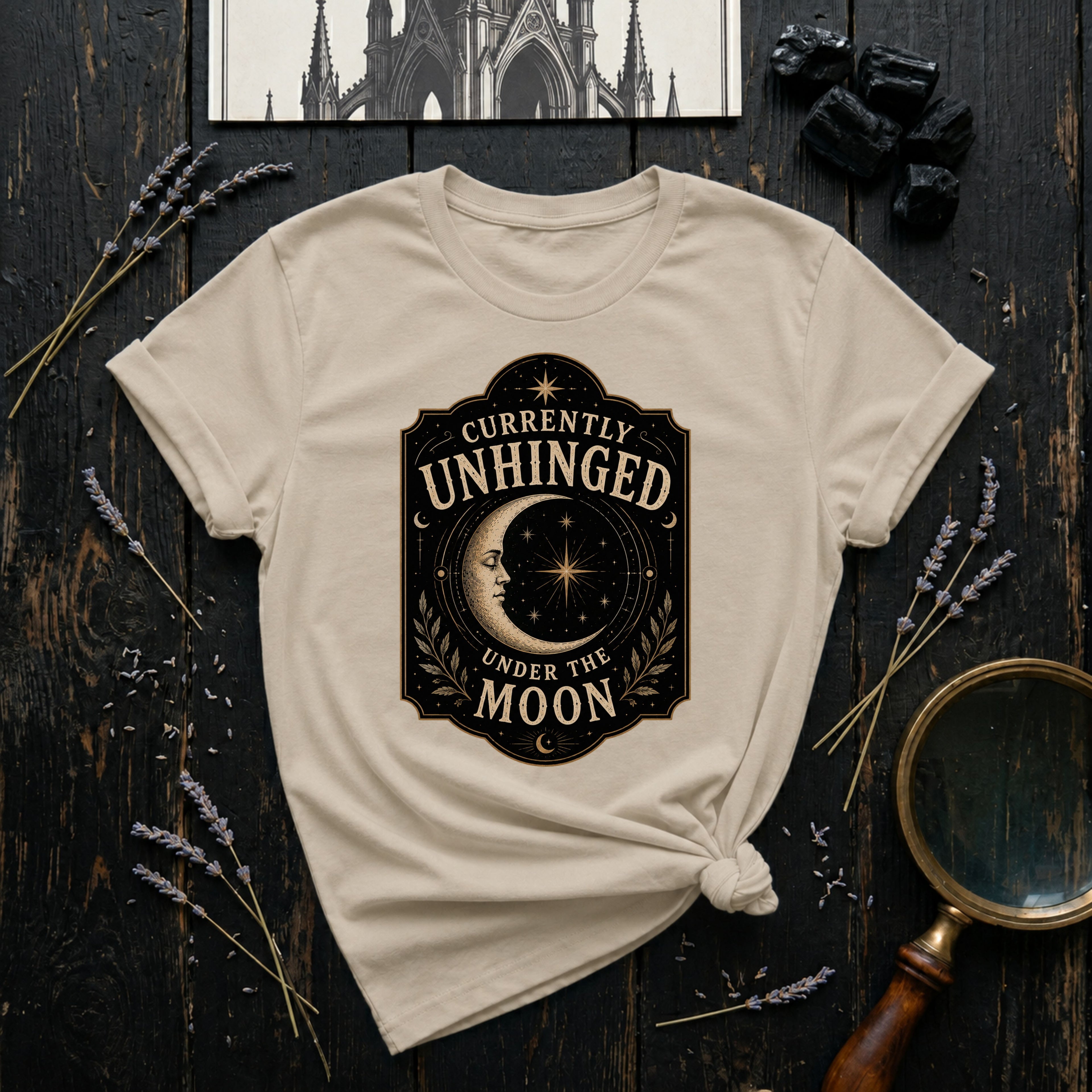 Currently Unhinged Moon T-Shirt