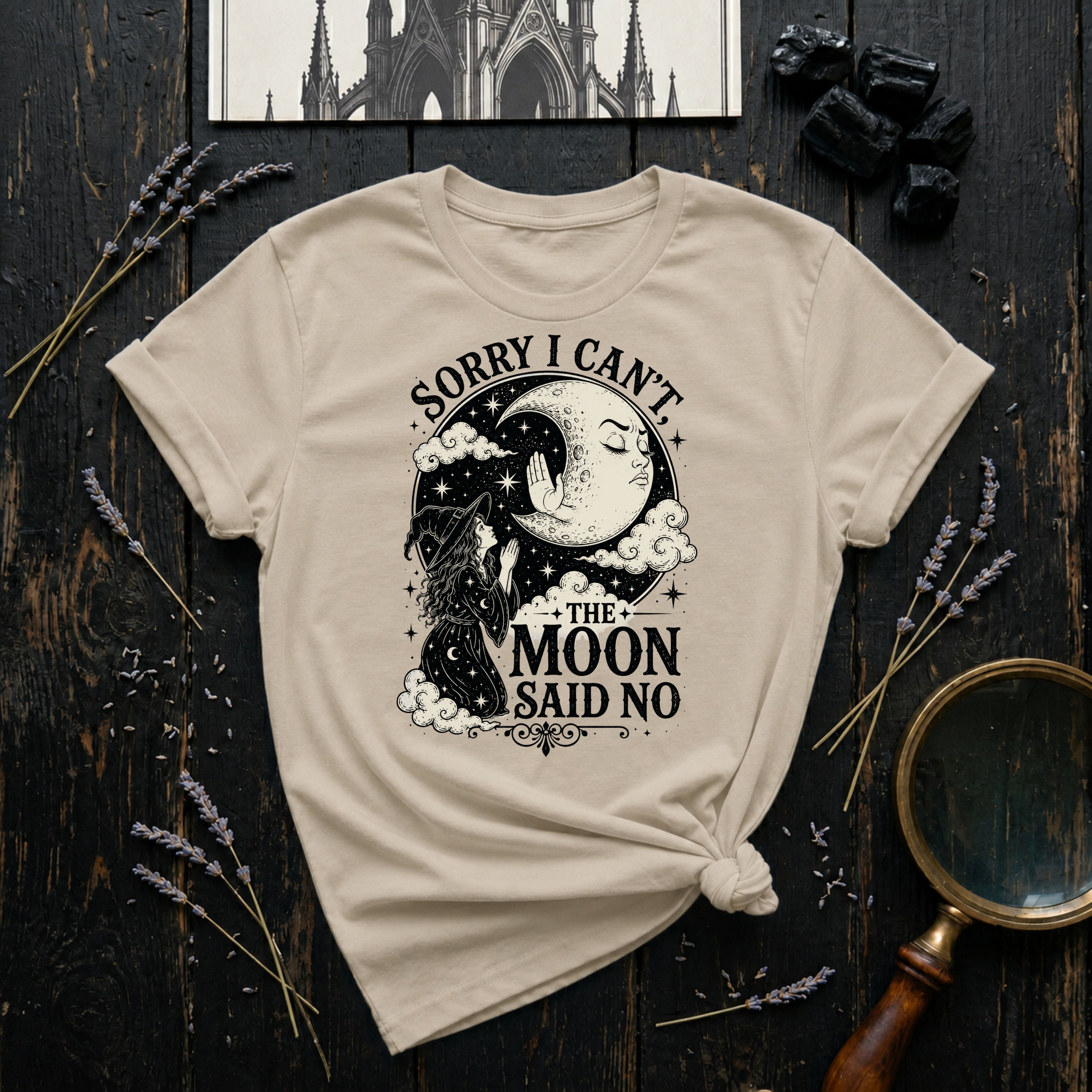 Sorry I Can't, The Moon Said No T-Shirt